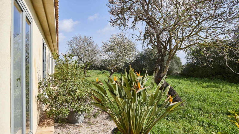 Campos, Mallorca, 5 Bedrooms Bedrooms, ,5 BathroomsBathrooms,Farm/Finca,For sale,1106