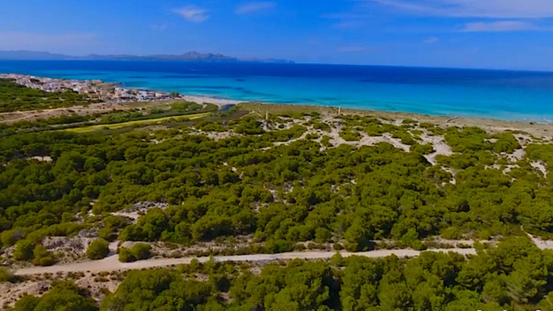 Colonia de Sant Pere, Mallorca, ,Grundstück,For sale,1136