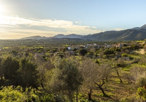 Campanet, Mallorca, ,Old Townhouse ,For sale,1138