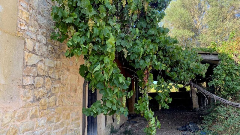 Porreres, Mallorca, ,Finca,For sale,1139