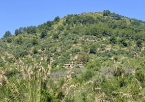 Arta, Mallorca, ,Grundstück,For sale,1143