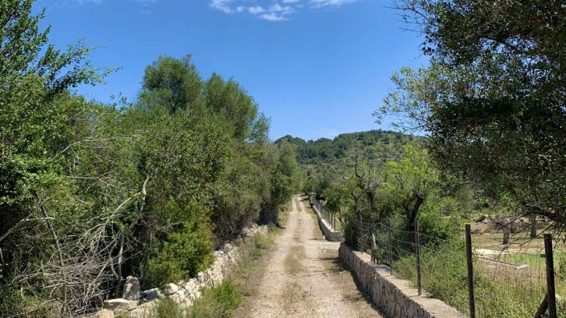 Arta, Mallorca, ,Grundstück,For sale,1143