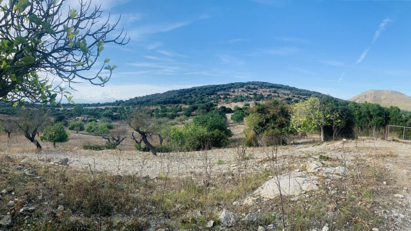 Sant Llorenç des Cardassar, Mallorca, 2 Schlafzimmer Schlafzimmer, ,2 BathroomsBathrooms,Grundstück,For sale,1145