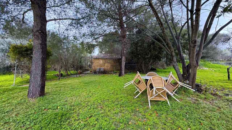 Pollença, Mallorca, 3 Dormitorios Dormitorios, ,3 BañosBaños,Farm/Finca,For sale,1,1048