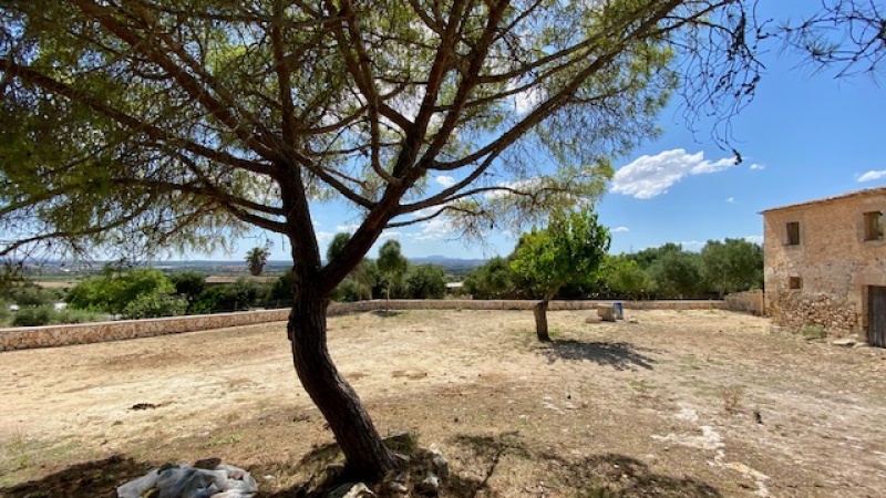 Manacor, Mallorca, ,Finca,For sale,1051