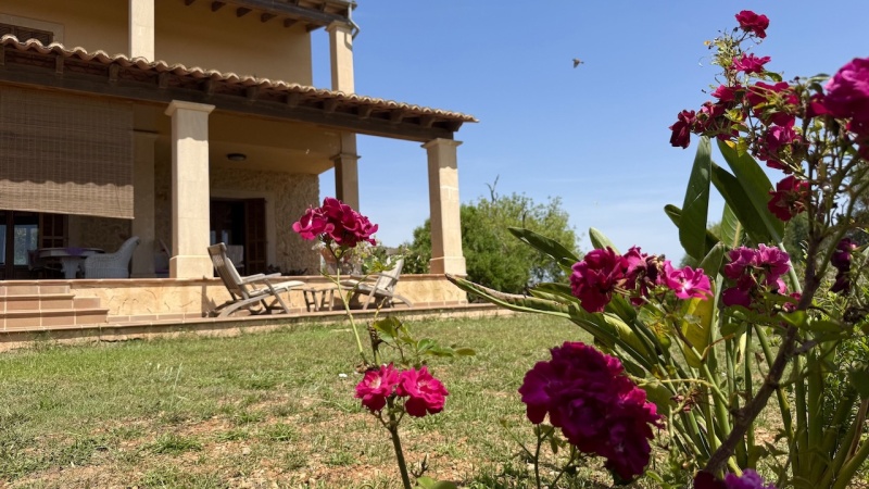 Rustic finca for sale, Porto Cristo, 1.200.000€